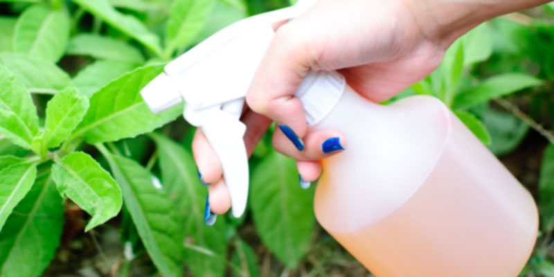 Best Trigger Sprayer